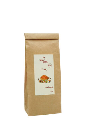 Condiment curry ECO 50g