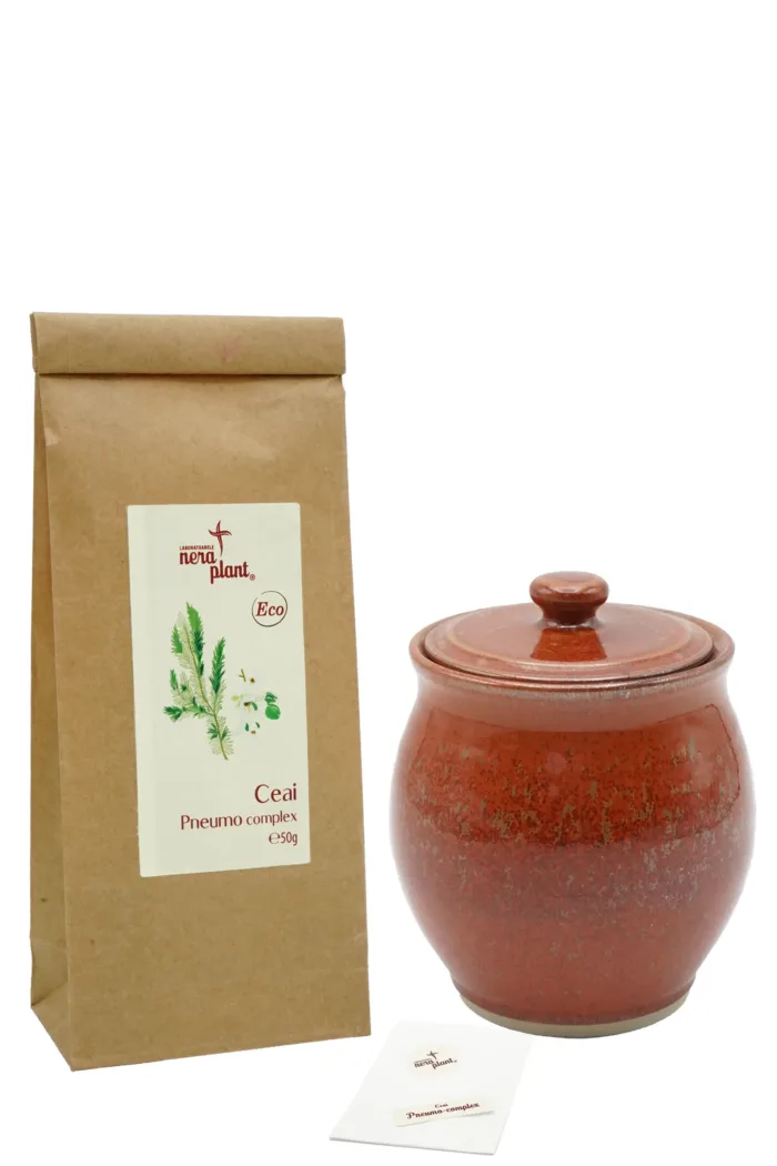 Kit Ceai Pneumo-Complex ECO 50g