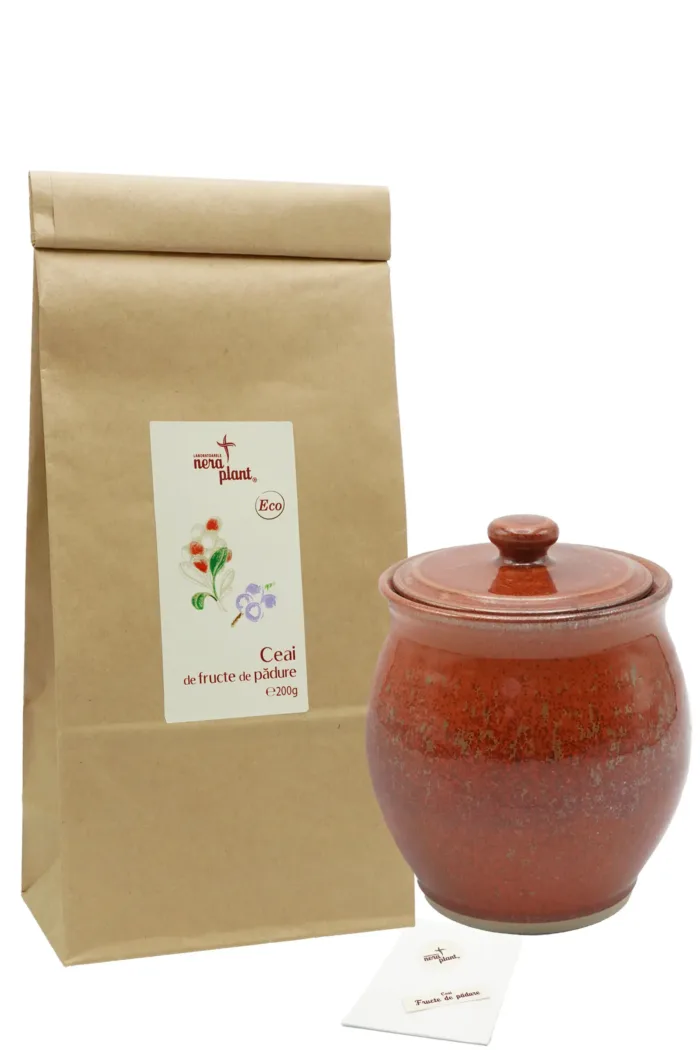 Kit Ceai de Fructe de Padure Eco 200g